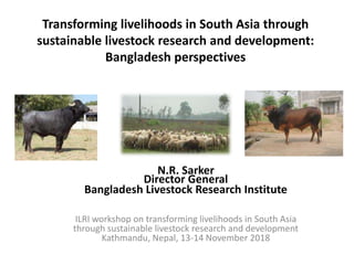 Transforming livelihoods in South Asia through
sustainable livestock research and development:
Bangladesh perspectives
N.R. Sarker
Director General
Bangladesh Livestock Research Institute
ILRI workshop on transforming livelihoods in South Asia
through sustainable livestock research and development
Kathmandu, Nepal, 13-14 November 2018
 