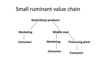 Transforming livelihoods in South Asia through sustainable livestock research and development: Bangladesh perspectives