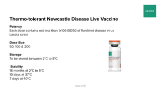 World’s biggest project for immunisation of backyard animals