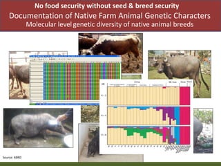 Priority areas of livestock sector for strengthening food and nutrition security in Nepal