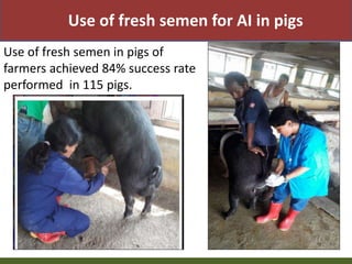 Priority areas of livestock sector for strengthening food and nutrition security in Nepal