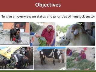Priority areas of livestock sector for strengthening food and nutrition security in Nepal