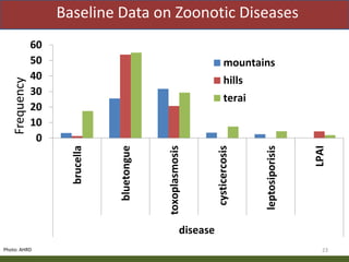 Priority areas of livestock sector for strengthening food and nutrition security in Nepal