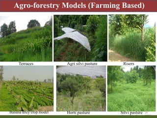 Priority areas of livestock sector for strengthening food and nutrition security in Nepal