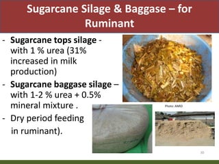 Priority areas of livestock sector for strengthening food and nutrition security in Nepal