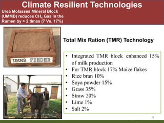 Priority areas of livestock sector for strengthening food and nutrition security in Nepal