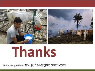 Priority areas of livestock sector for strengthening food and nutrition security in Nepal