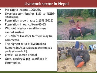 Priority areas of livestock sector for strengthening food and nutrition security in Nepal