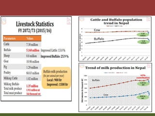 Priority areas of livestock sector for strengthening food and nutrition security in Nepal