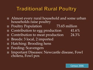 Livestock and Poultry Sectors in Pakistan