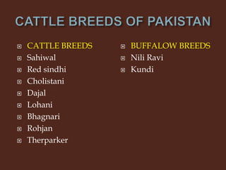 Livestock and Poultry Sectors in Pakistan