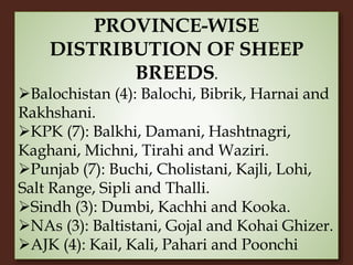 Livestock and Poultry Sectors in Pakistan