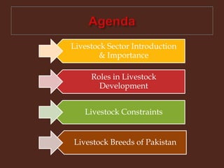 Livestock and Poultry Sectors in Pakistan