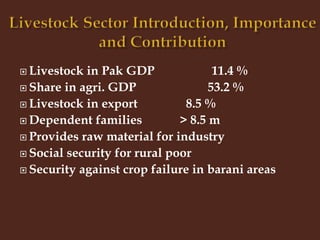 Livestock and Poultry Sectors in Pakistan