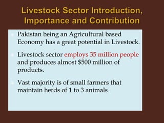 Livestock and Poultry Sectors in Pakistan