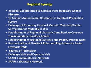 Regional Synergy
 Regional Collaboration to Combat Trans-boundary Animal
Diseases
 To Combat Antimicrobial Resistance in Livestock Production
System
 Exchange of Promising Livestock Genetic Materials/Fodder
Germplasm for Mutual Benefits
 Establishment of Regional Livestock Gene Bank to Conserve
Trans-boundary Livestock Breeds
 Establishment of Regional Livestock and Poultry Vaccine Bank
 Harmonization of Livestock Rules and Regulations to Foster
Livestock Trade
 Sharing of Technology
 Exchange Visit and Exposure Visit
 SAARC Epidemiological Network
 SAARC Laboratory Network
 