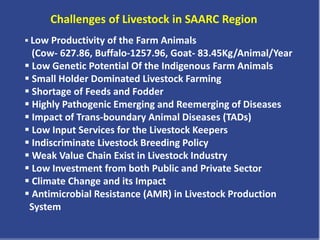 Livestock in South Asia: Challenges, priorities and way forward