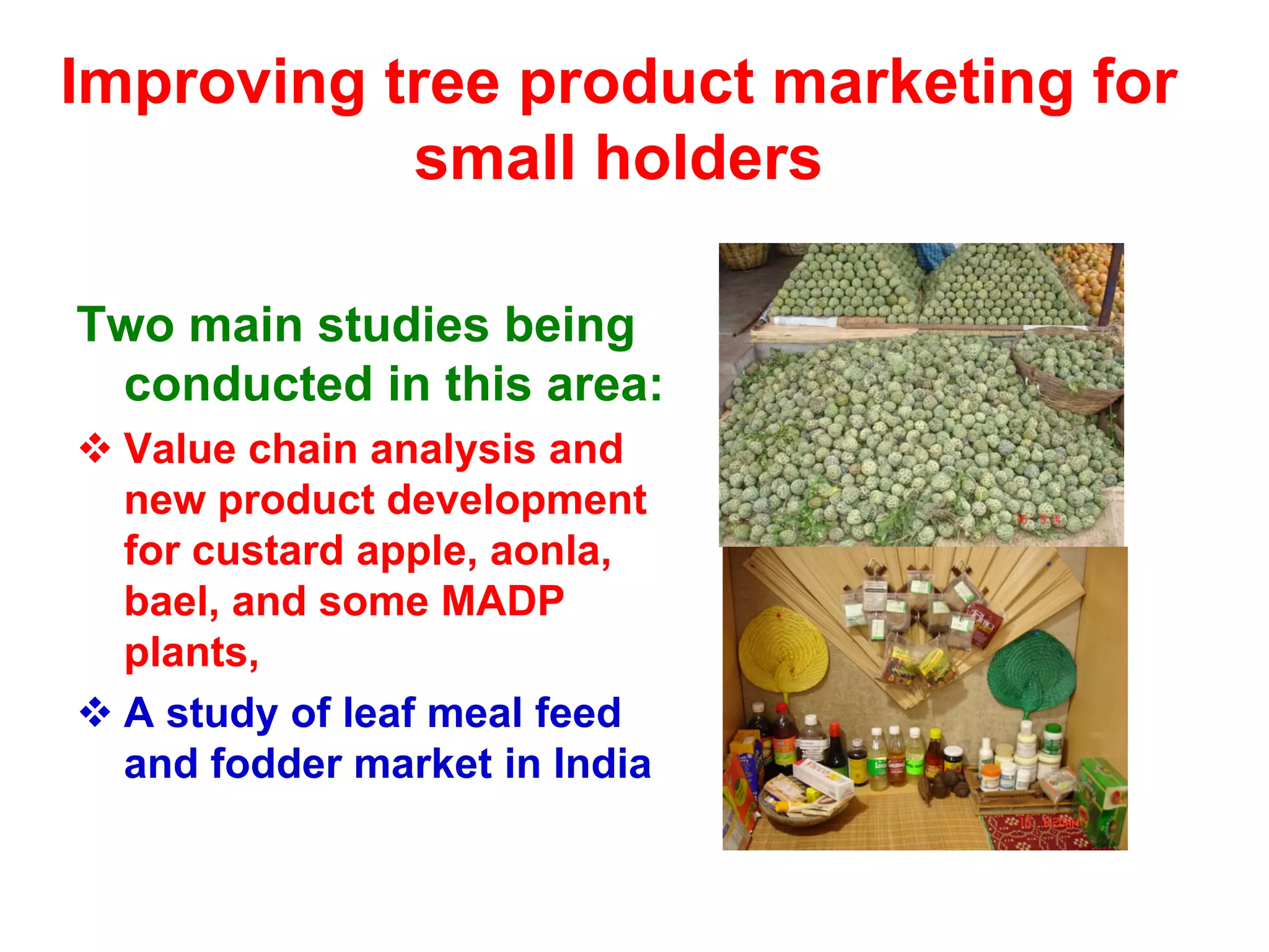 Improving tree product marketing for
           small holders

Two main studies being
 conducted in this area:
  Value chain analysis and
  new product development
  for custard apple, aonla,
  bael, and some MADP
  plants,
  A study of leaf meal feed
  and fodder market in India
 