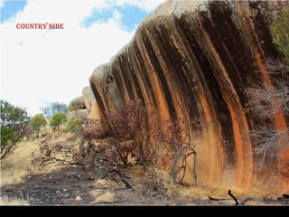 Country side
 Country side
 