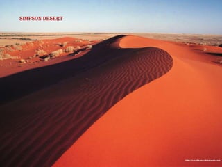 Simpson desert
 