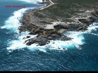 Eyre peninsula
 