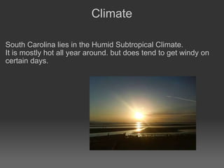 Climate South Carolina lies in the Humid Subtropical Climate. It is mostly hot all year around. but does tend to get windy on certain days. 