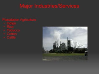 Major Industries/Services Planatation Agriculture Indigo Rice Tobacco Cotton Cattle 