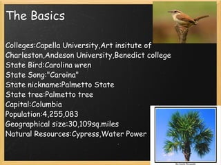 The Basics Colleges:Capella University,Art insitute of Charleston,Andeson University,Benedict college State Bird:Carolina wren  State Song:"Caroina" State nickname:Palmetto State State tree:Palmetto tree Capital:Columbia Population:4,255,083 Geographical size:30,109sq.miles Natural Resources:Cypress,Water Power   