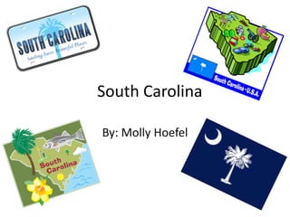 South Carolina By: Molly Hoefel 