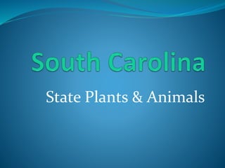 State Plants & Animals
 