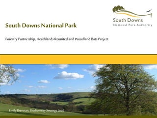 South Downs National Park
Forestry Partnership, Heathlands Reunited and Woodland Bats Project
EmilyBrennan,BiodiversityStrategyLead
 
