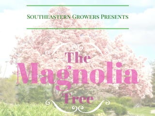 Southeastern Growers presents: The Magnolia Tree