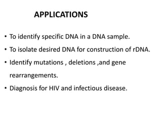• To identify specific DNA in a DNA sample.
• To isolate desired DNA for construction of rDNA.
• Identify mutations , deletions ,and gene
rearrangements.
• Diagnosis for HIV and infectious disease.
APPLICATIONS
 
