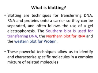 • Blotting are techniques for transferring DNA,
RNA and proteins onto a carrier so they can be
separated, and often follows the use of a gel
electrophoresis. The Southern blot is used for
transferring DNA, the Northern blot for RNA and
the western blot for Protein.
• These powerful techniques allow us to identify
and characterize specific molecules in a complex
mixture of related molecules
What is blotting?
 