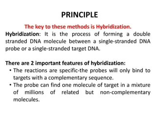 The key to these methods is Hybridization.
Hybridization: It is the process of forming a double
stranded DNA molecule between a single-stranded DNA
probe or a single-stranded target DNA.
There are 2 important features of hybridization:
• The reactions are specific-the probes will only bind to
targets with a complementary sequence.
• The probe can find one molecule of target in a mixture
of millions of related but non-complementary
molecules.
PRINCIPLE
 