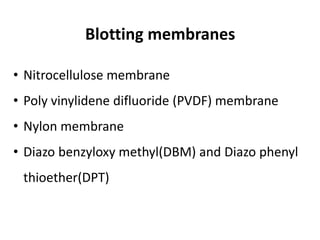 • Nitrocellulose membrane
• Poly vinylidene difluoride (PVDF) membrane
• Nylon membrane
• Diazo benzyloxy methyl(DBM) and Diazo phenyl
thioether(DPT)
Blotting membranes
 