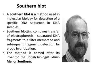 • A Southern blot is a method used in
molecular biology for detection of a
specific DNA sequence in DNA
samples.
• Southern blotting combines transfer
of electrophoresis - separated DNA
fragments to a filter membrane and
subsequent fragment detection by
probe hybridization.
• The method is named after its
inventor, the British biologist Edwin
Mellor Southern.
Southern blot
 