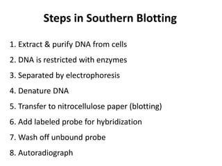 1. Extract & purify DNA from cells
2. DNA is restricted with enzymes
3. Separated by electrophoresis
4. Denature DNA
5. Transfer to nitrocellulose paper (blotting)
6. Add labeled probe for hybridization
7. Wash off unbound probe
8. Autoradiograph
Steps in Southern Blotting
 