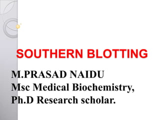 SOUTHERN BLOTTING
M.PRASAD NAIDU
Msc Medical Biochemistry,
Ph.D Research scholar.
 
