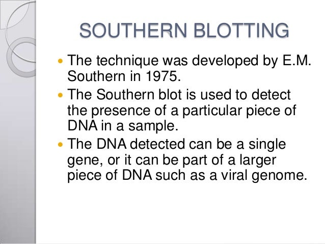 southern blot