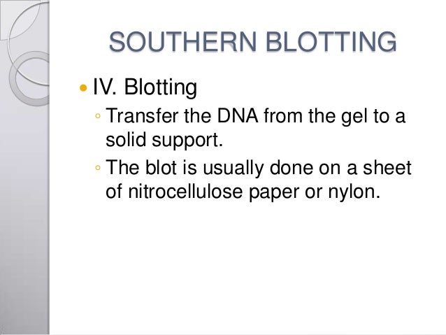 southern blotting technique southern blotting technique