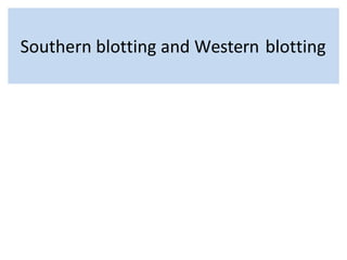 Southern blotting and Western blotting
 