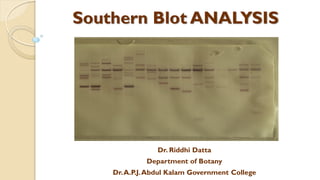 Southern Blot ANALYSIS
Dr. Riddhi Datta
Department of Botany
Dr.A.P.J.Abdul Kalam Government College
 