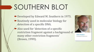 SOUTHERN BLOT
 Developed by Edward M. Southern in 1975.
 Routinely used in molecular biology for
detection of a specific DNA.
 Also used for ‘detection of a specific
restriction fragment against a background of
many other restriction fragments’
(Brown, 1999).

 