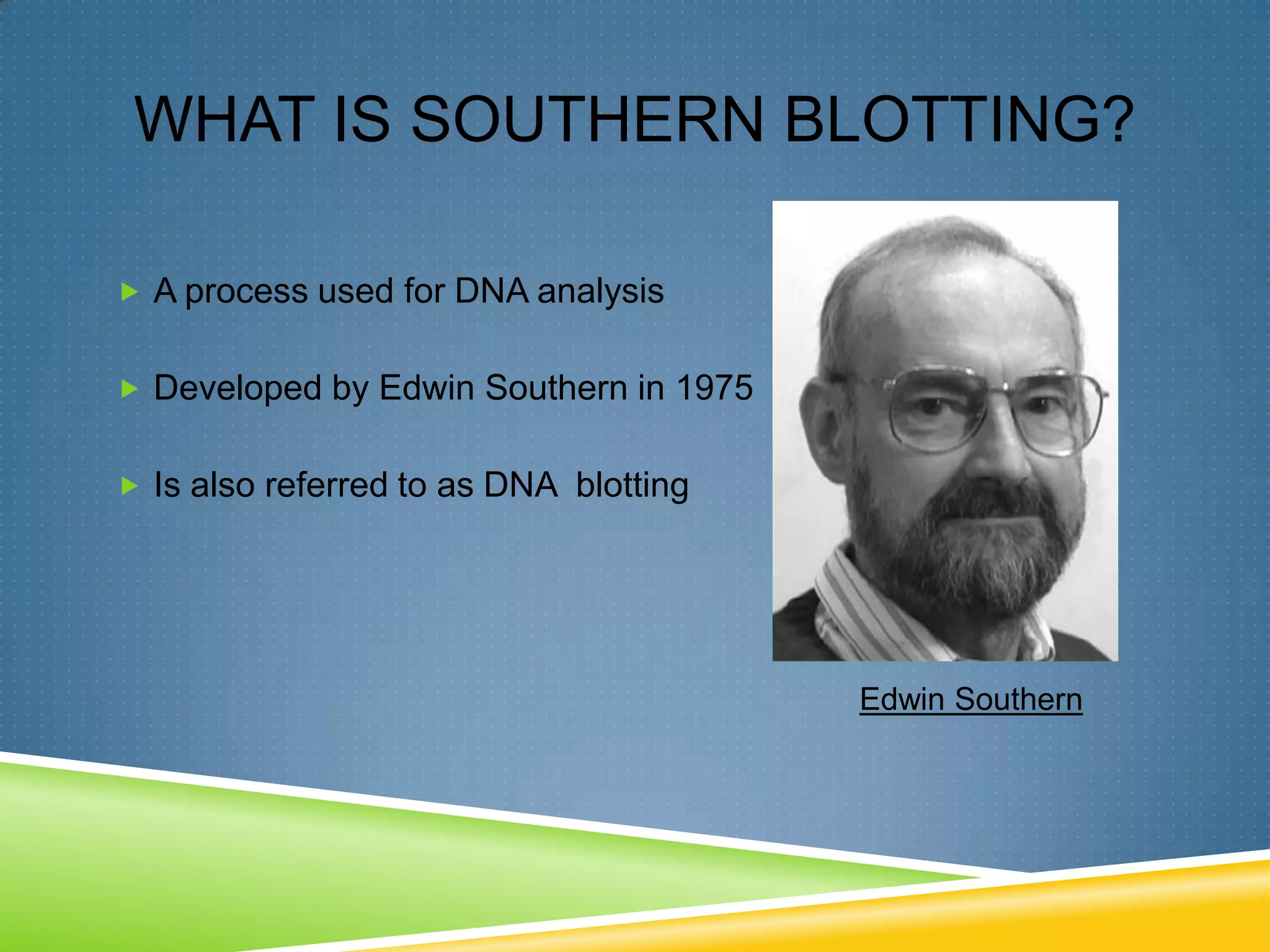 Southern blot power point | PPTX