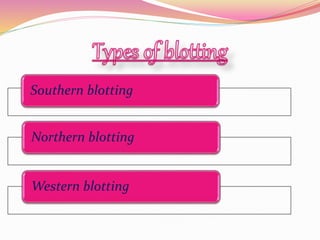 Southern blotting
Northern blotting
Western blotting
 