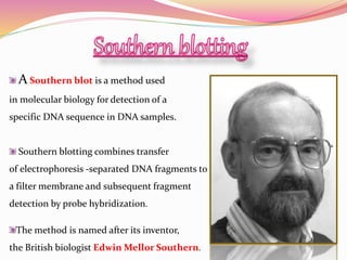 A Southern blot is a method used
in molecular biology for detection of a
specific DNA sequence in DNA samples.
Southern blotting combines transfer
of electrophoresis -separated DNA fragments to
a filter membrane and subsequent fragment
detection by probe hybridization.
The method is named after its inventor,
the British biologist Edwin Mellor Southern.
 