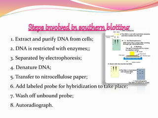 1. Extract and purify DNA from cells;
2. DNA is restricted with enzymes;;
3. Separated by electrophoresis;
4. Denature DNA;
5. Transfer to nitrocellulose paper;
6. Add labeled probe for hybridization to take place;
7. Wash off unbound probe;
8. Autoradiograph.
 