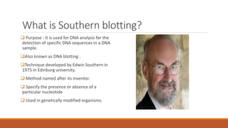 What is Southern blotting?
 Purpose : It is used for DNA analysis for the
detection of specific DNA sequences in a DNA
sample.
Also known as DNA blotting .
Technique developed by Edwin Southern in
1975 in Edinburg university.
 Method named after its inventor.
 Specify the presence or absence of a
particular nucleotide
 Used in genetically modified organisms.
 