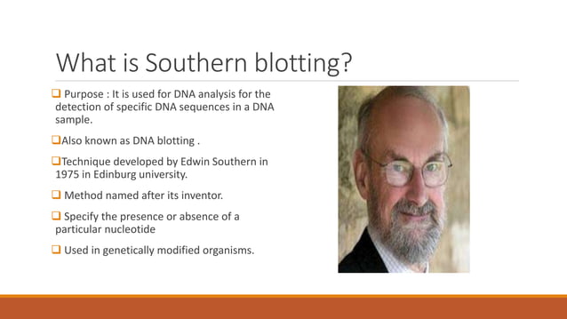 Southern blotting | PPT